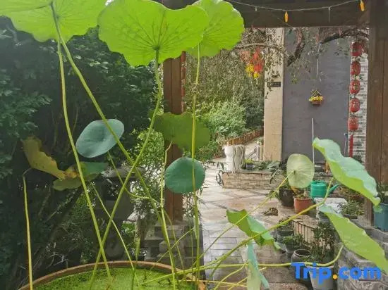 Yunyun Yashe Hotel (Bodhi Mountain Park Branch, Wutongqiao District, Leshan)