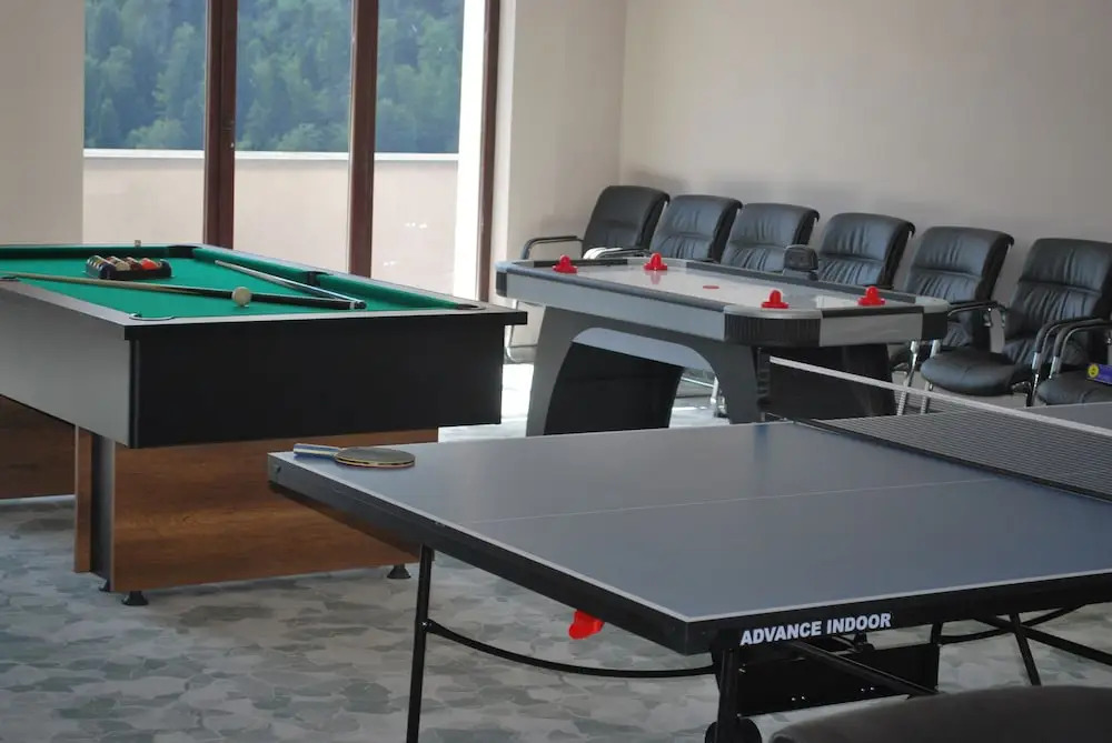 HOTEL CARPAT INN