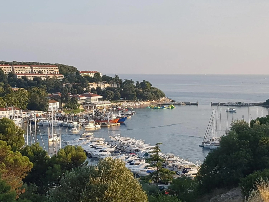 The Istrian