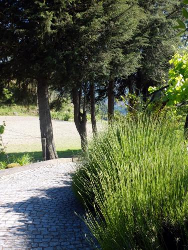 Family Secrets Douro