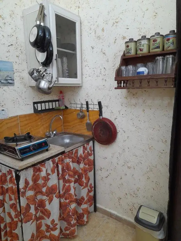 mini house