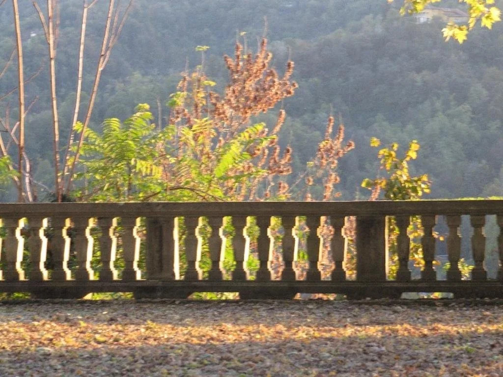 Vigna Il Merlo