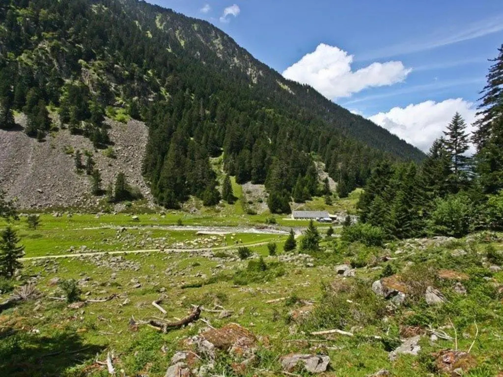 Appartement Cauterets, 2 pièces, 6 personnes - FR-1-401-19