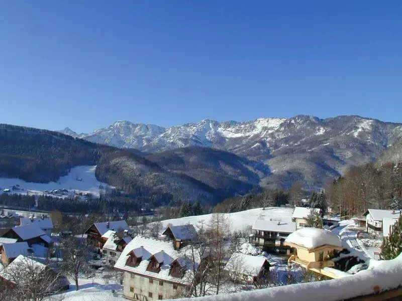 Haus Panorama