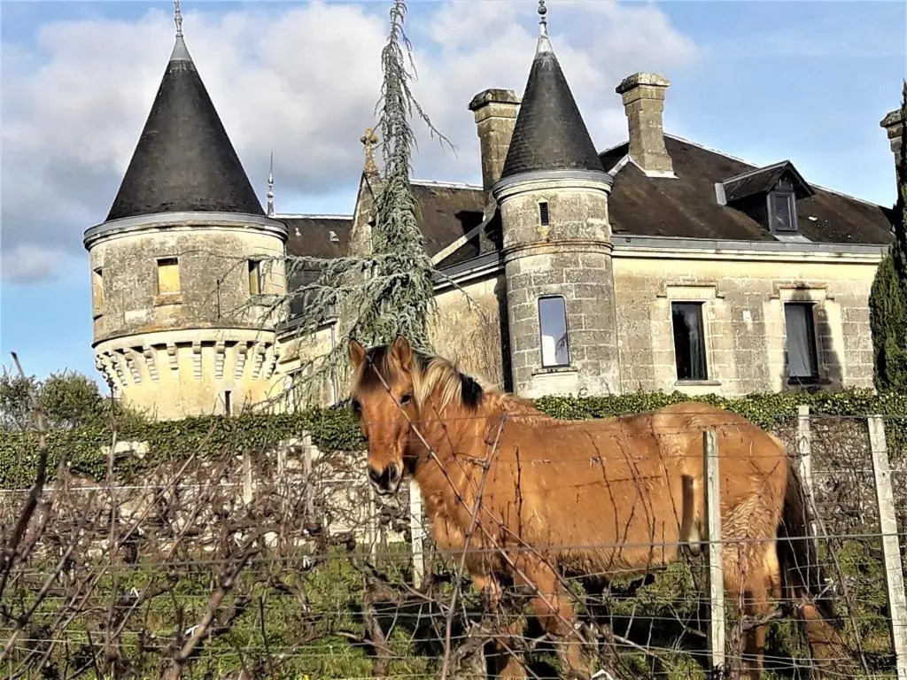Chateau de la Grave