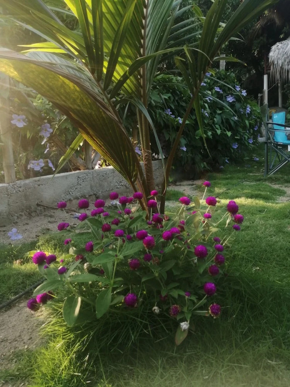 Hotel talú tayrona