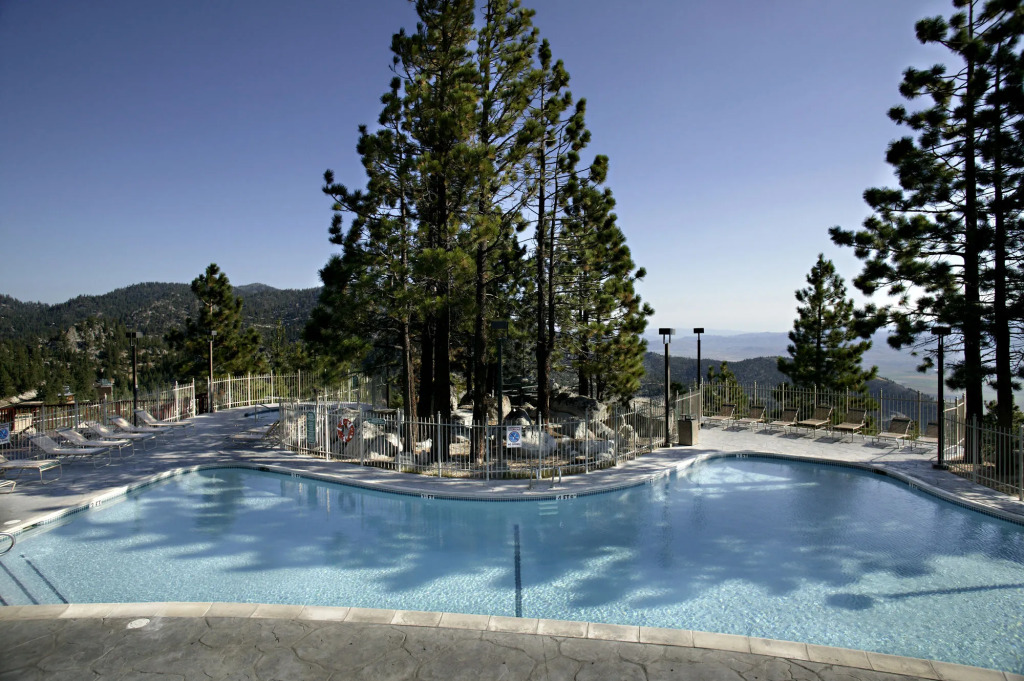 The Ridge View