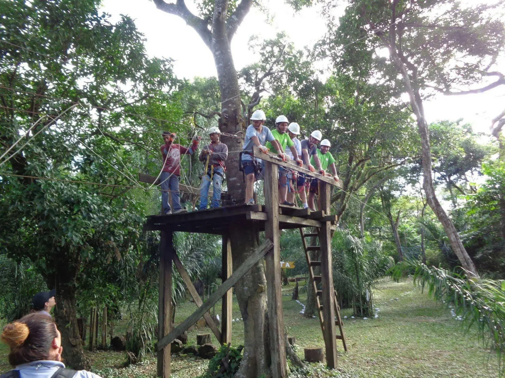 Los Cedros
