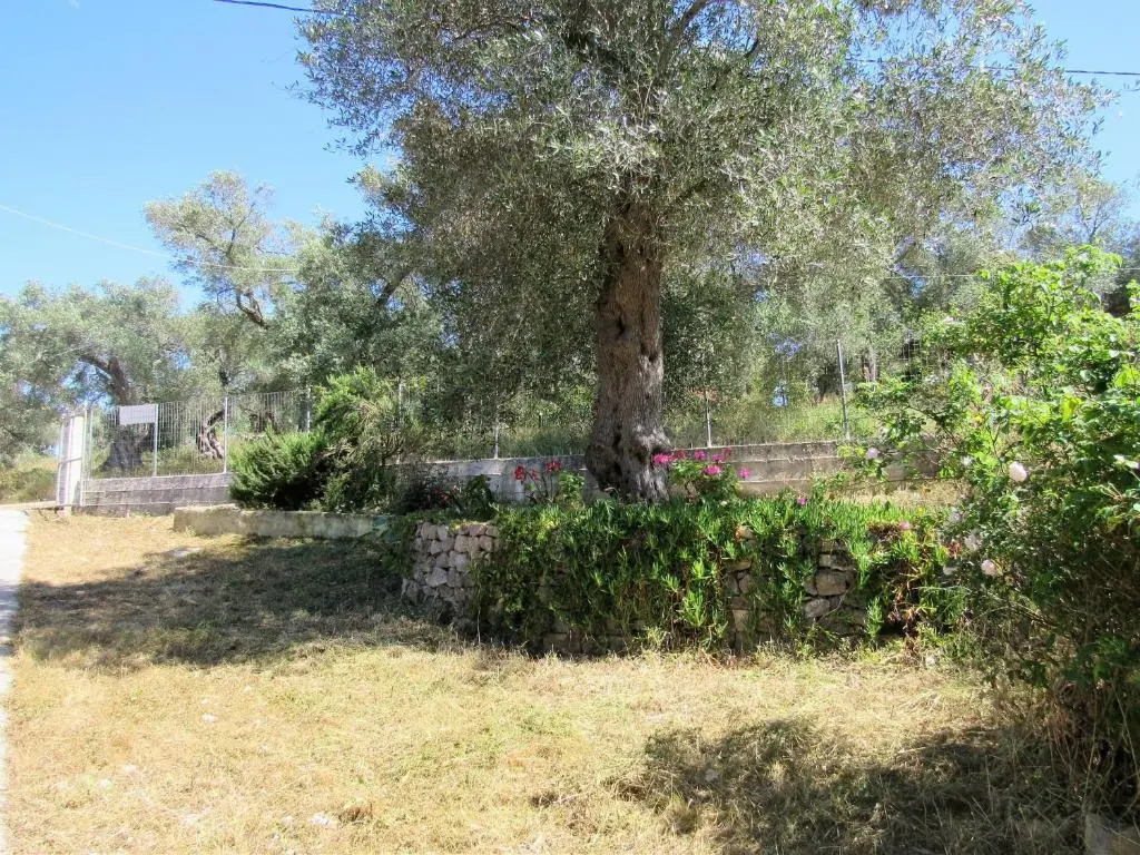 Villa Clementine