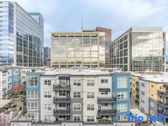 1BR+Den | Gym, Lounge | Bellevue | Sophari C