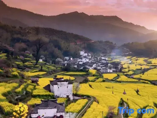 Chunshan Ji