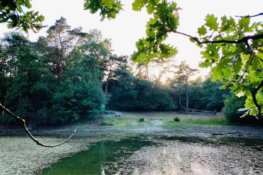 Zonnebos, private garden, fresh air, relax