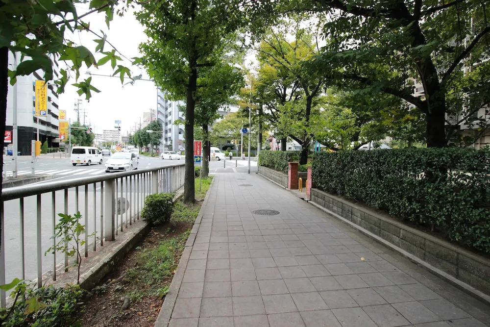 Saint Paulia Osaka Castle
