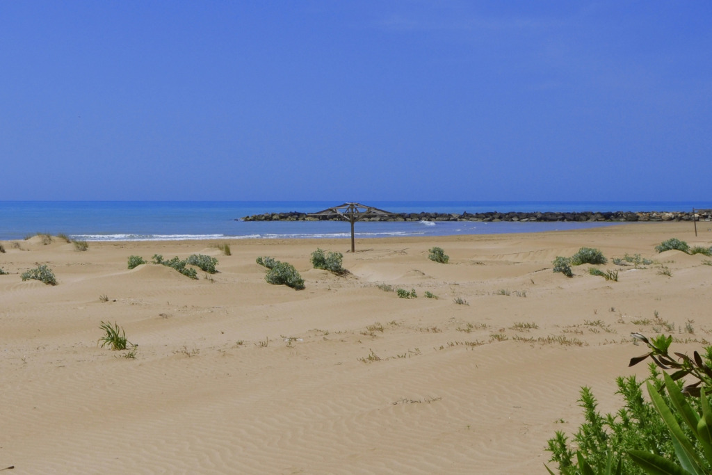 Casa Apara- Happy Rentals