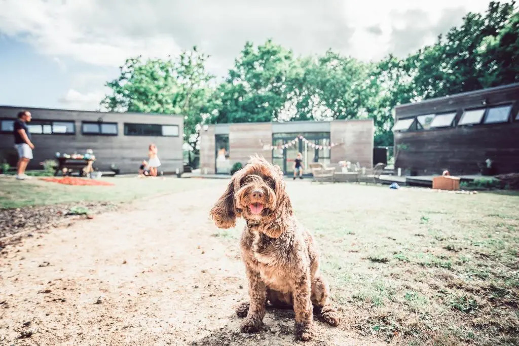 Clophill Eco Lodges