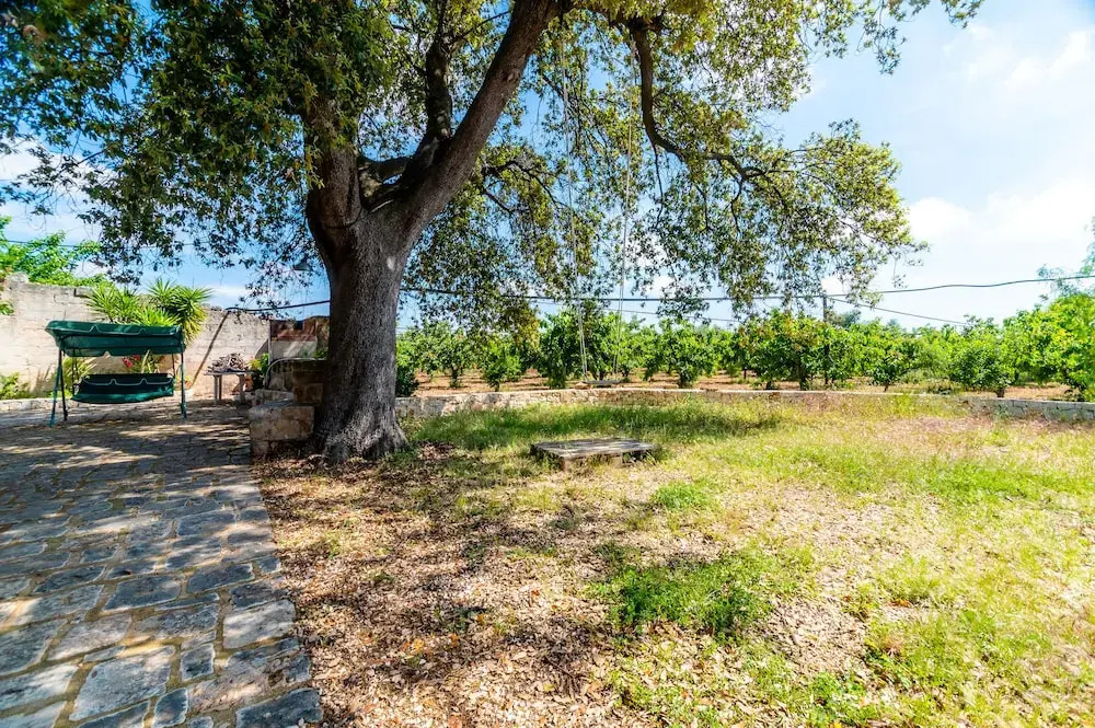 Casale Morello