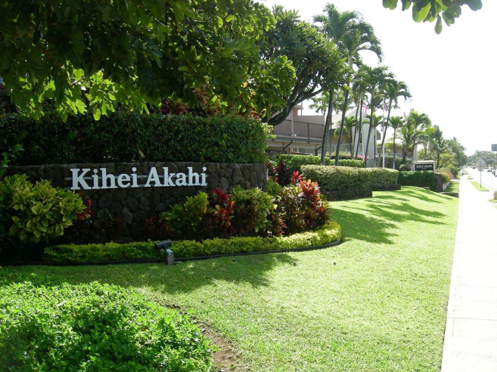 Kihei Akahi #DG06