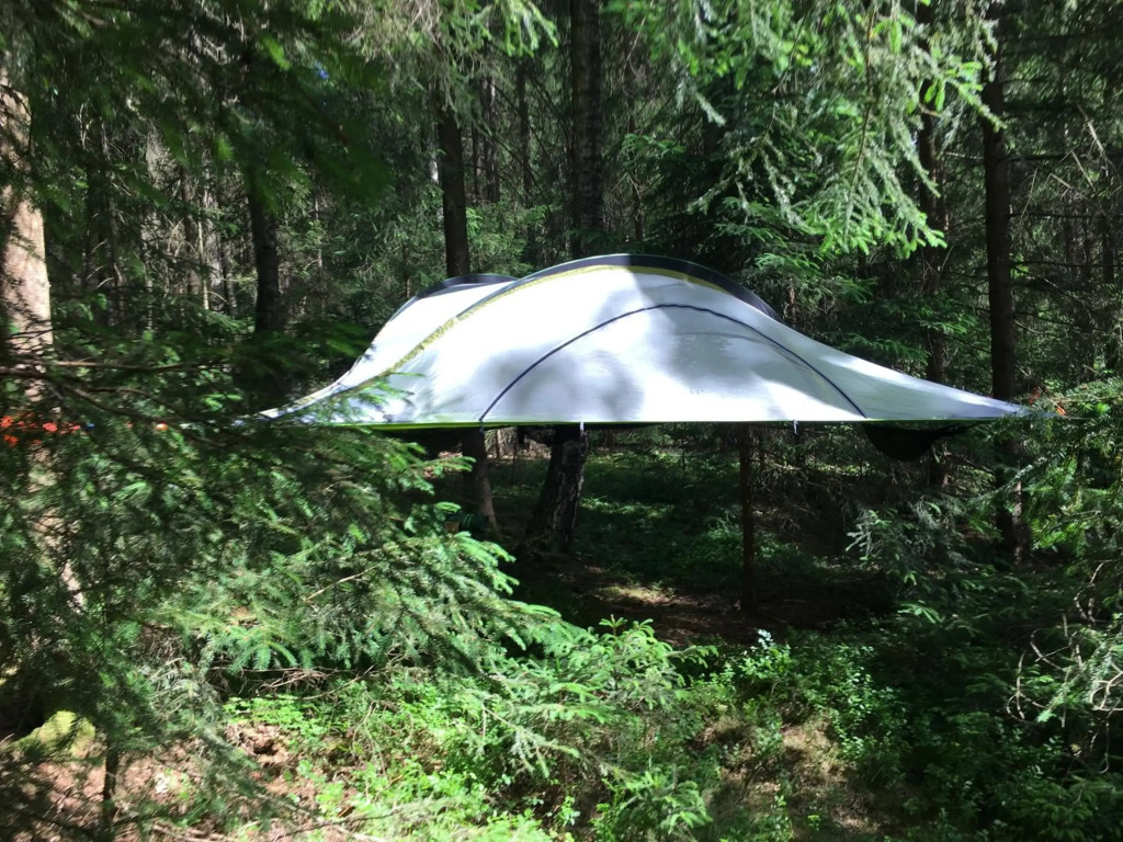 Baumzelt im Wald