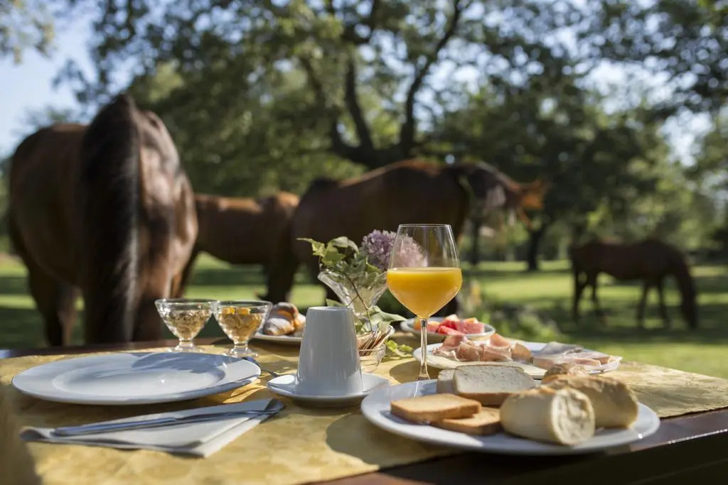 Country Hotel Mandra Edera