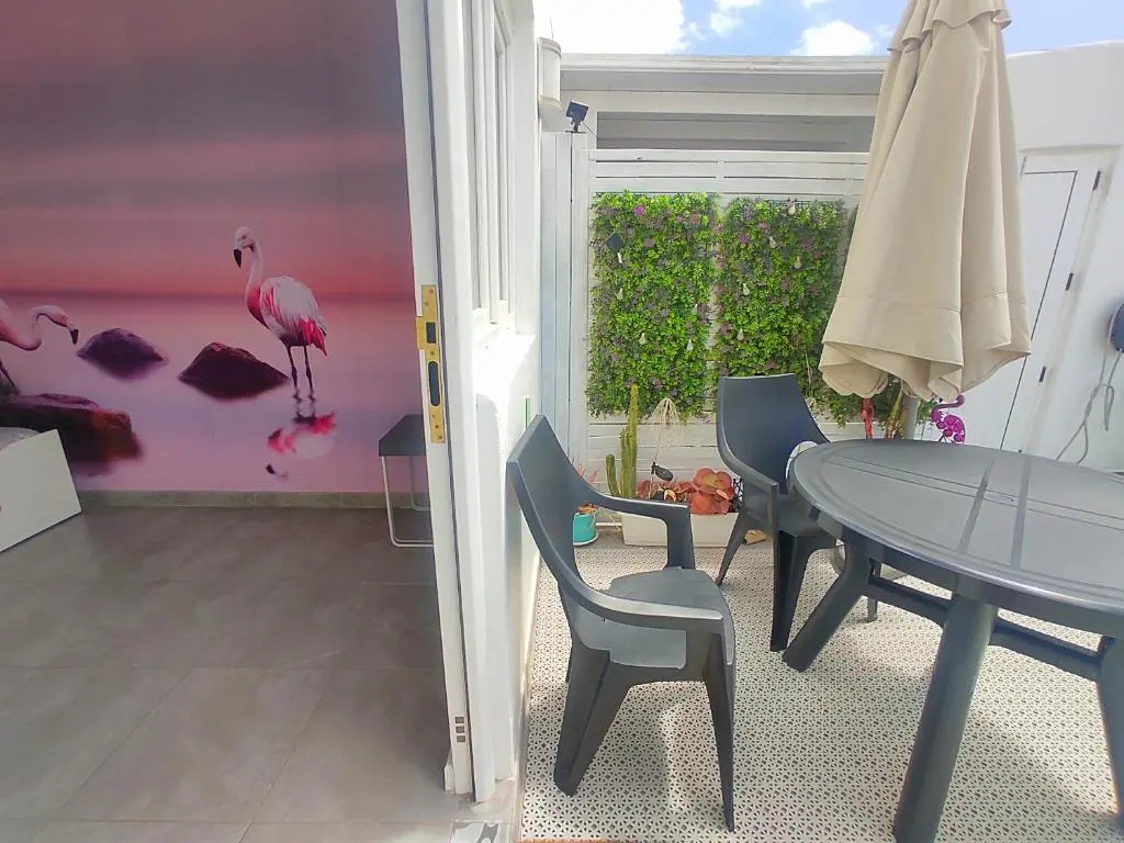 Sweet&Wine Apt with terrace by Flamingo House