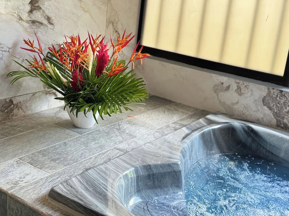 Hotel Heliconias Nature Inn & Hot Springs