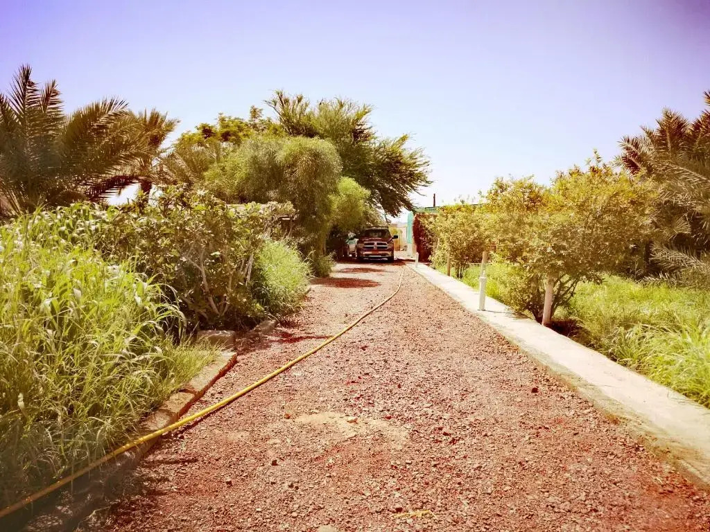 Yonis Farm