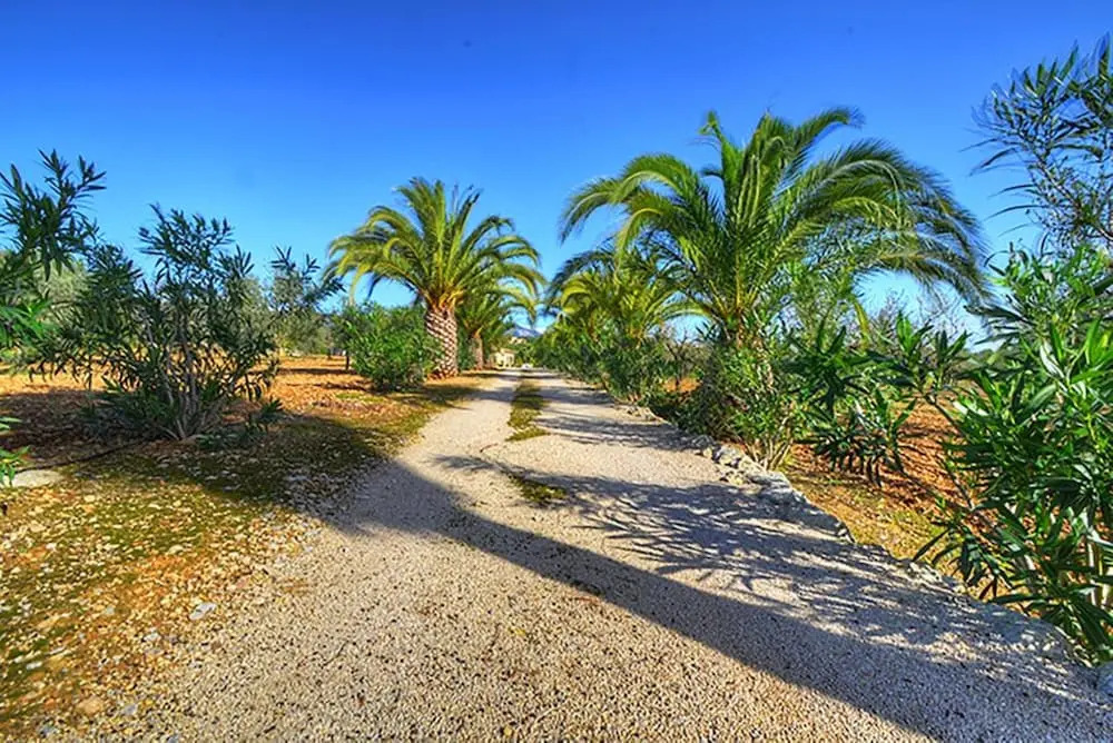 106038 - Villa in Santa María del Camí