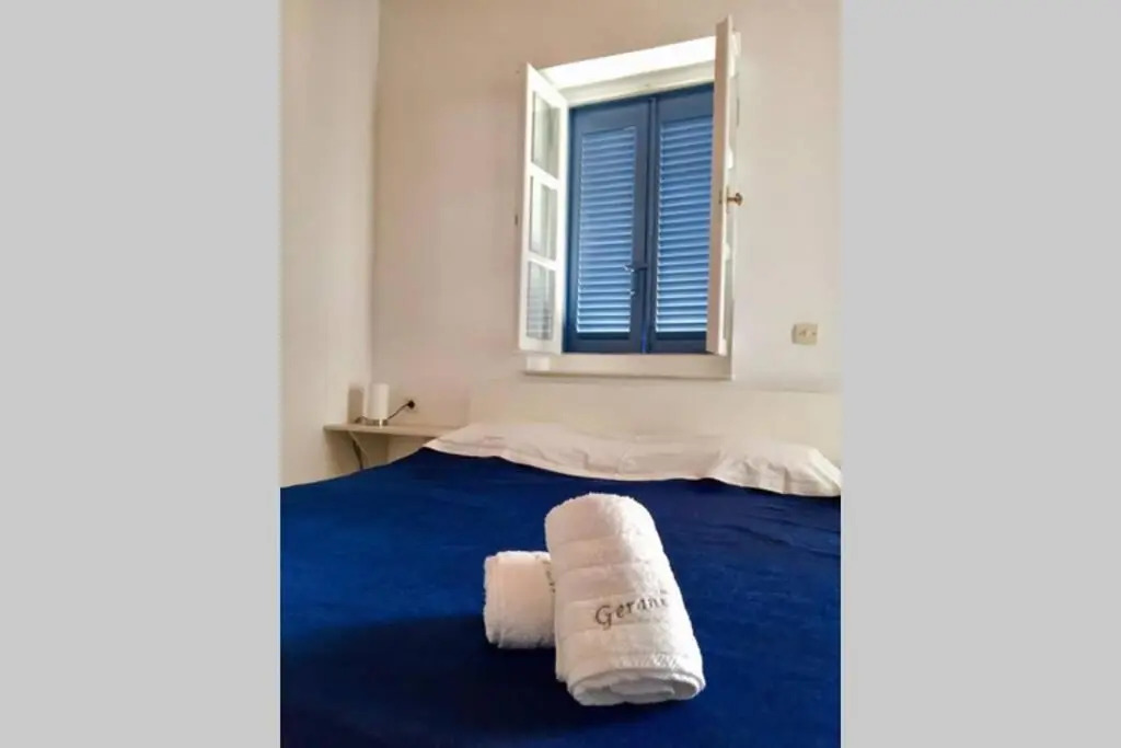 Studio Gerani 2