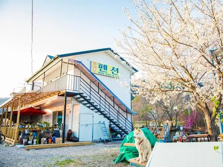 Delio Pension