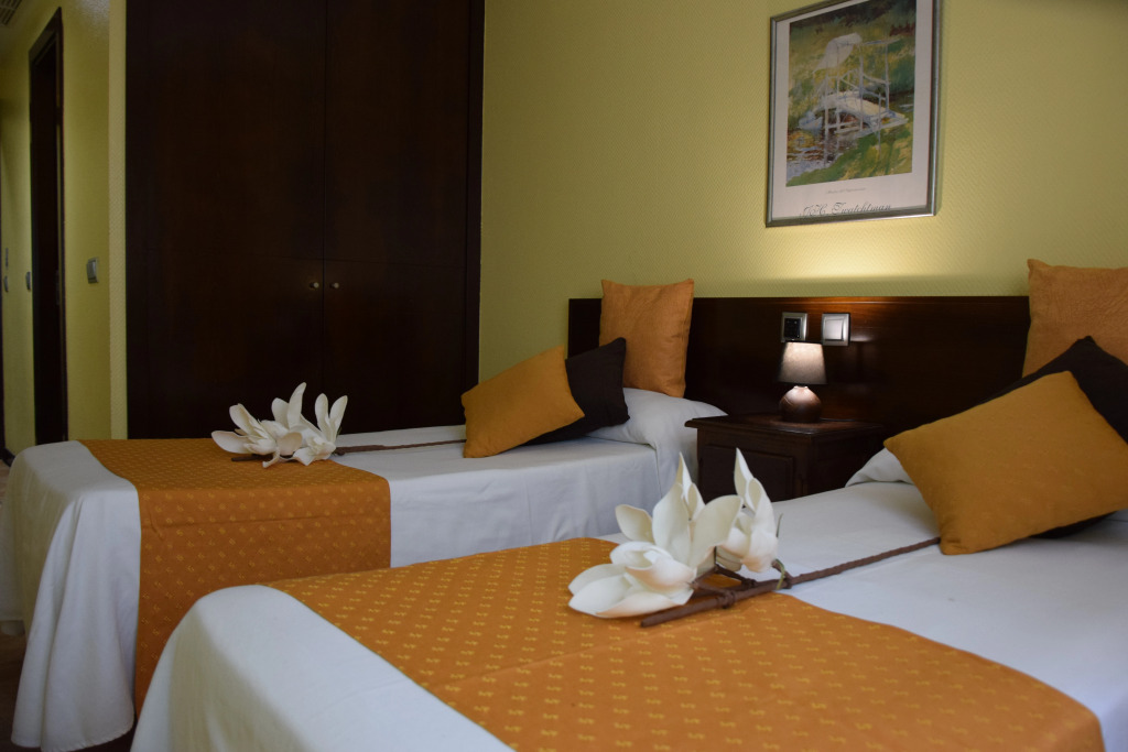 Hotel Complutense