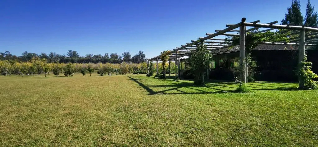 La Casa de los Limoneros