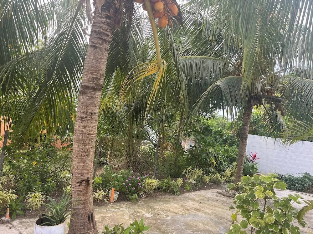 Paradis Des Palmiers 4 Gorgeous 2-bedroom Flat