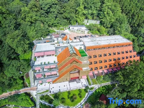 Thinking Land Lingyan Forest hotel