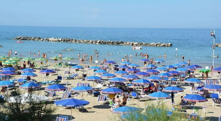 Il Gabbiano