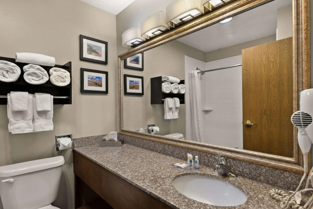 Comfort Inn & Suites Ludington near US-10