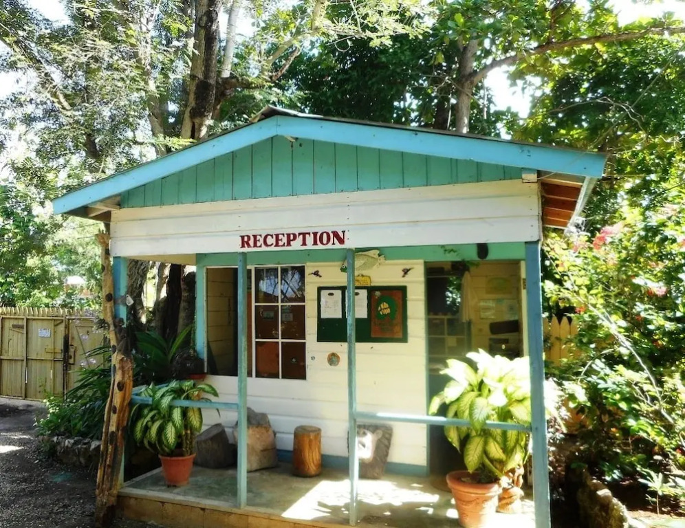 Banana Shout Resort