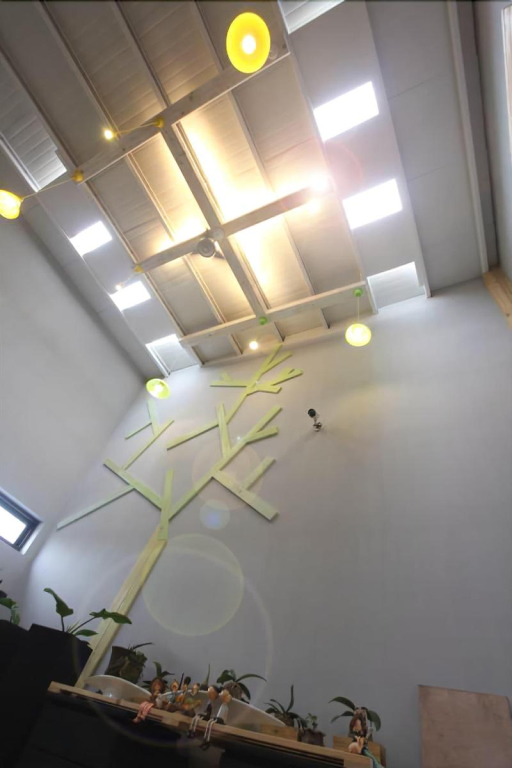Light Shadow