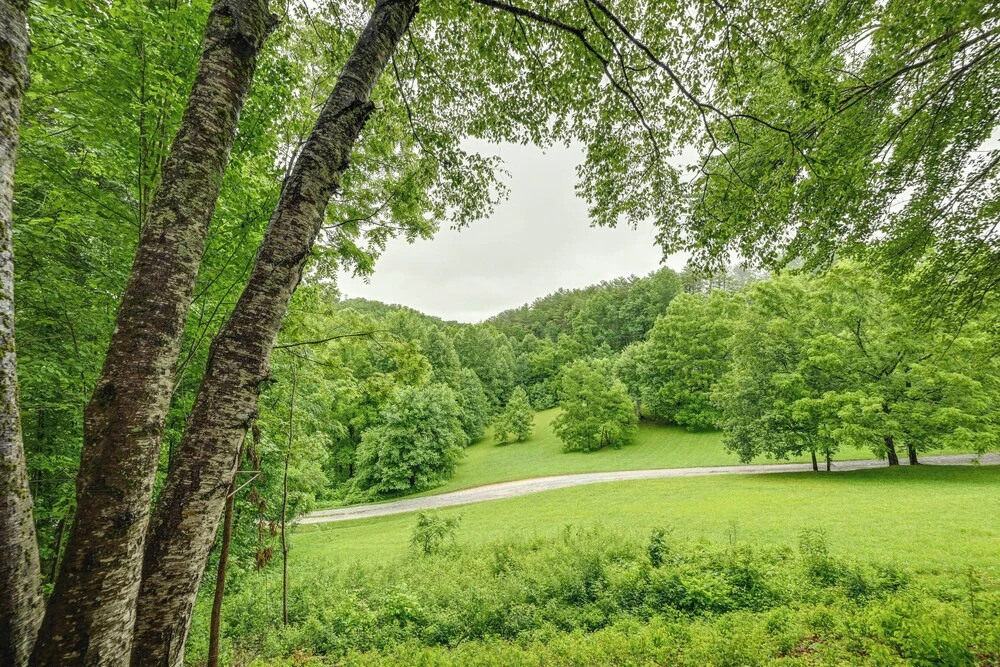Sweet Birch' Bryson City Cottage w/ Views