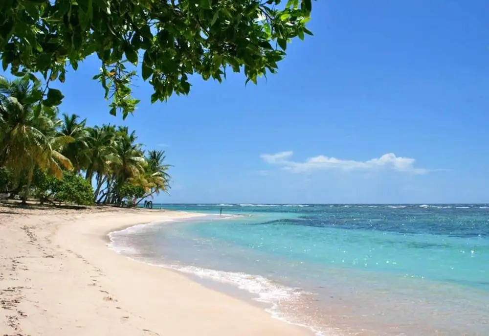 Apartment With one Bedroom in Sainte Rose, With Pool Access, Furnished
