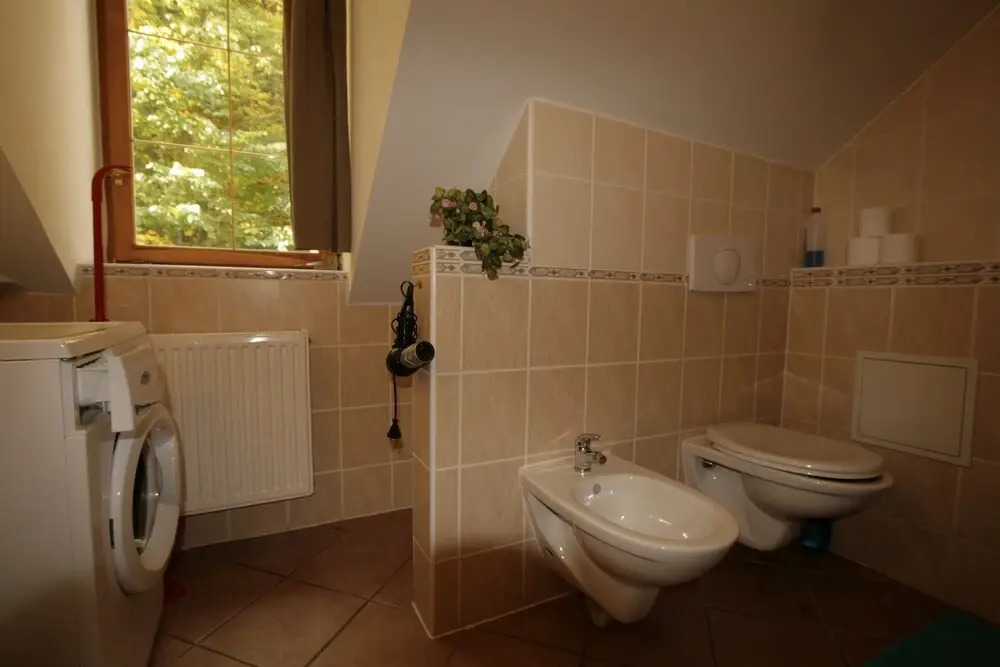 Apartment No. 5 Luční vrch 11