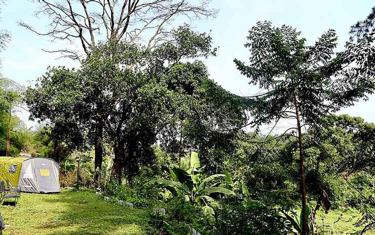 The Forest @cisarua