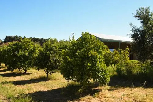 Swan Valley Sisters