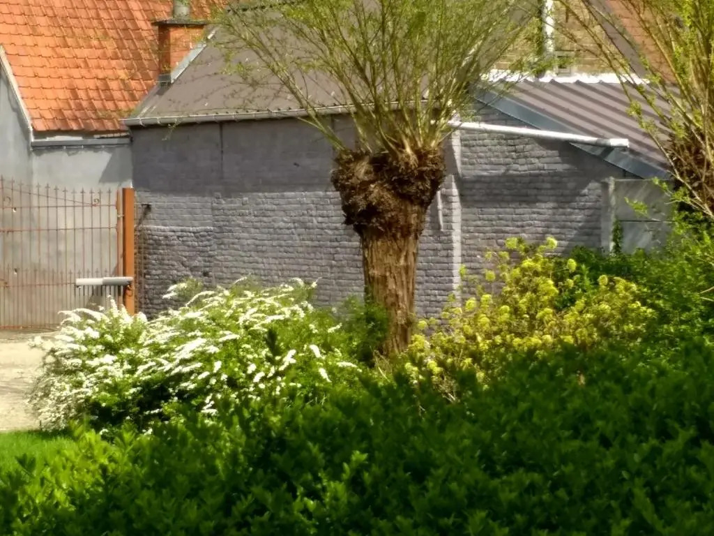 B&B t Huys van Enaeme