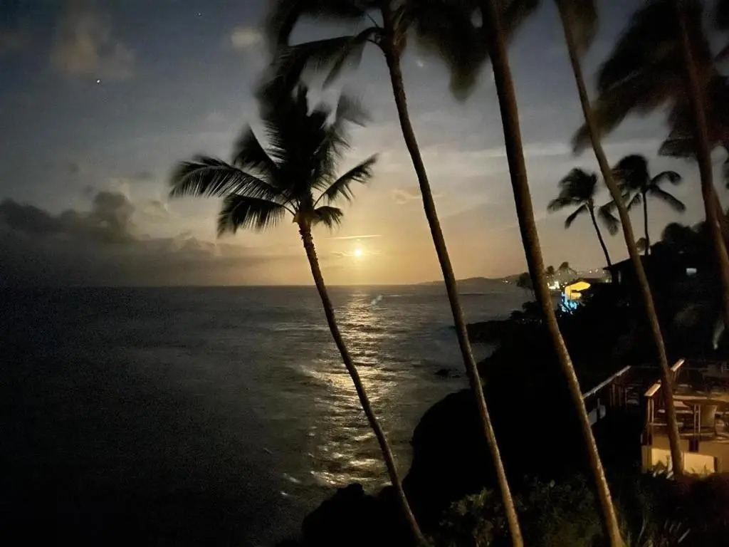 SPECTACULAR OCEANFRONT PENTHOUSE - Air Conditioned 3 Bedroom/3Bathroom