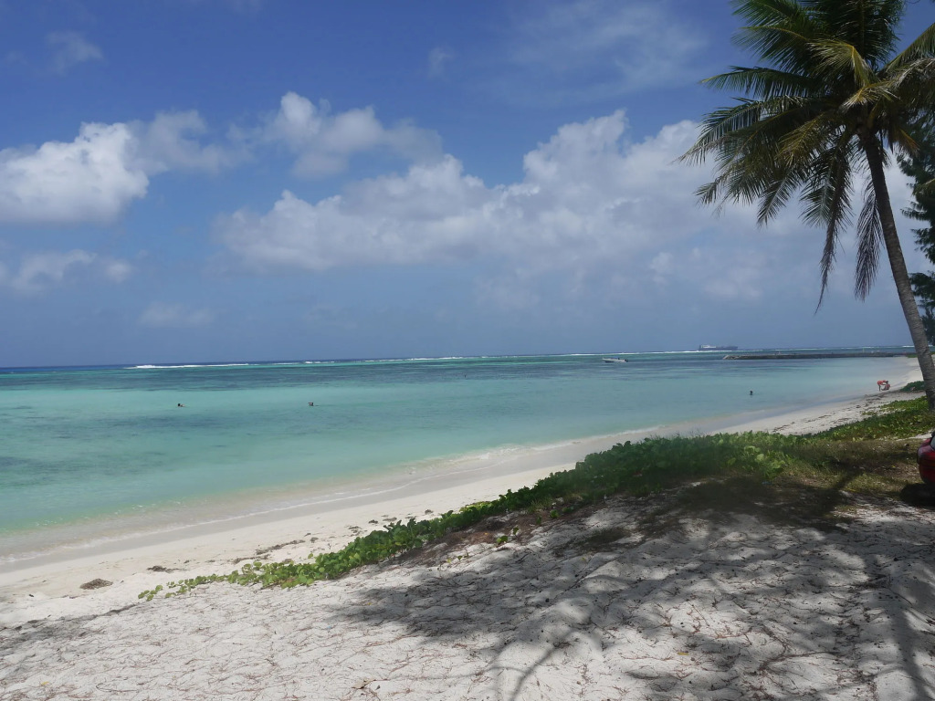 Aquarius Beach Tower