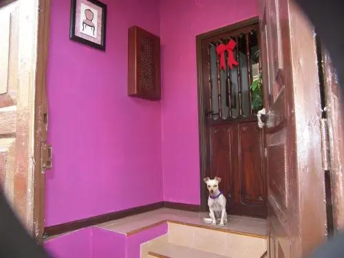 Casa Luly