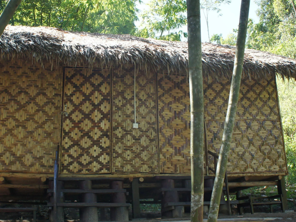 Rain Forest Inn