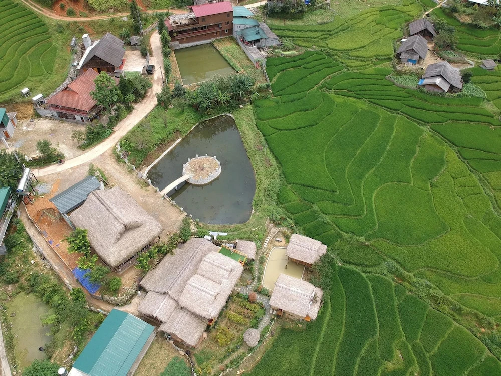 Golden Rice Garden Sapa