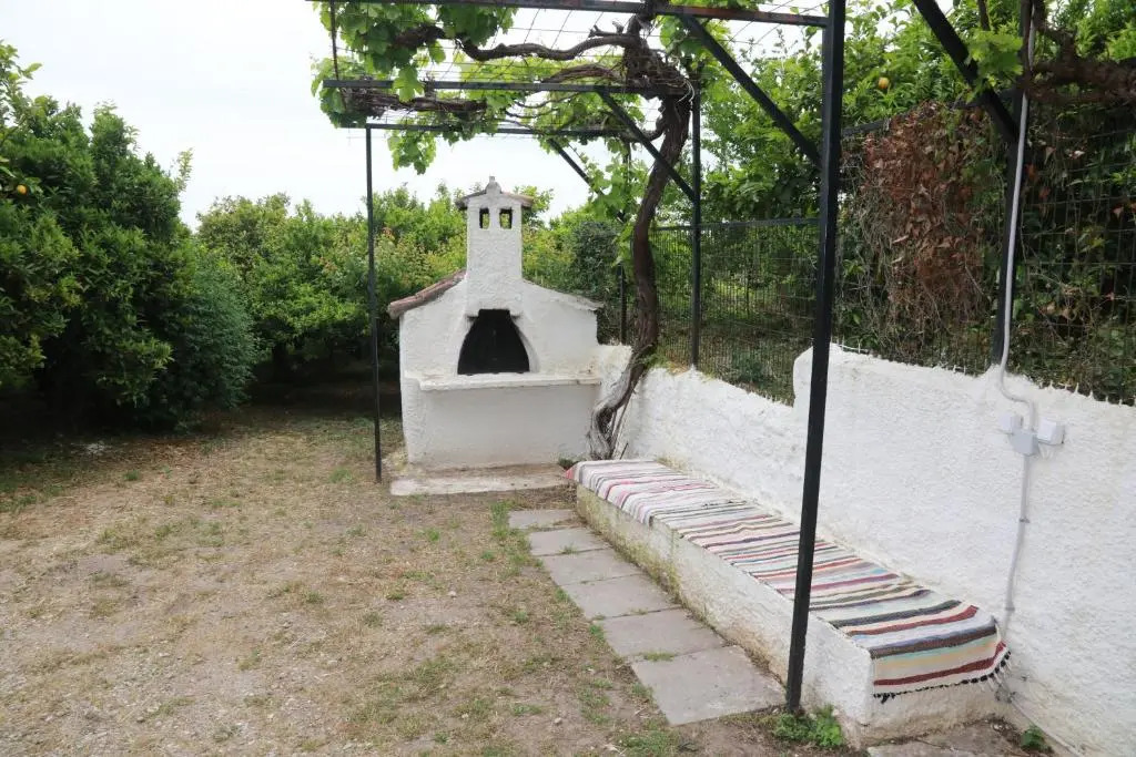 Lemon tree house