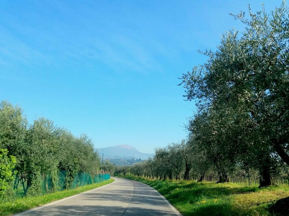 In a Quiet Area and not far From the Lake, Balconies Overlooking the Vineyards